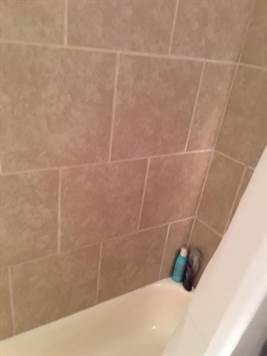 288 Jacaranda Circle 